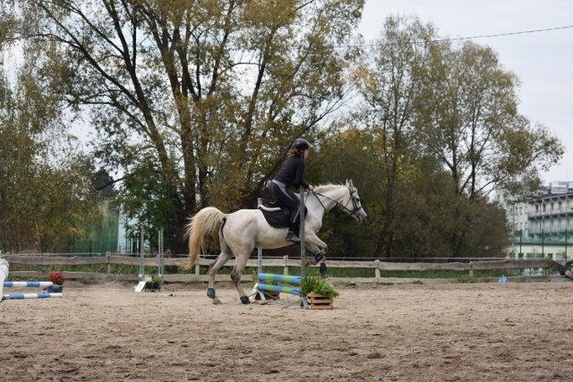 bABIE lATO 2018